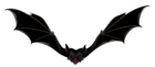 Creepy Bat PNG Picture