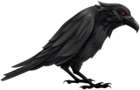 Halloween Black Raven PNG Clipart