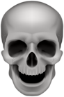 Halloween Human Skull PNG Transparent Clipart