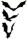 Halloween PNG Bats Clipart