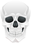 Halloween Skull PNG Clip Art