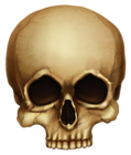 Halloween Skull PNG Picture