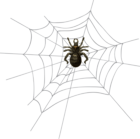 Halloween Spider Web PNG Clip Art