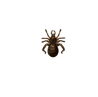 Halloween Spider Web Transparent Clip Art Image