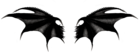 Haunted Black Wings PNG Clipart