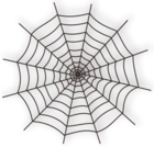 Large Haunted Spider Web PNG Clipart