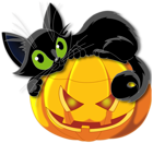 Large Transparent Halloween Pumpkin with Black Cat Clipart