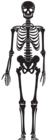 Skeleton Silhouette PNG Clip Art
