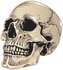 Skull Halloween Clipart