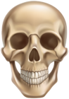 Skull Halloween PNG Clipart