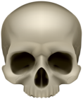 Skull PNG Transparent Clipart