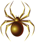 Spider PNG Transparent Clipart