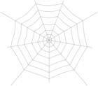 Spider Web PNG Clip Art Image