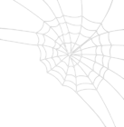 Spider Web PNG Clipart