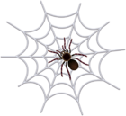 Spider Web Transparent Clip Art Image