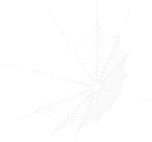 Spider Web White PNG Transparent Clipart