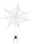 Spider and Web Transparent Clip Art Image