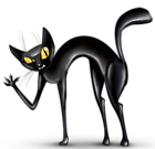 Transparent Haunted Black Cat