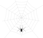 Web and Spider PNG Clip Art Image