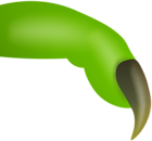 Witch Finger Green PNG Clip Art Image