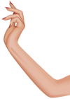Female Hand Transparent PNG Clip Art