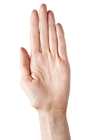 Hand Showing Five Fingers PNG Clipart Picture