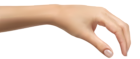 Human Hand PNG Clipart Picture