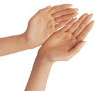 Two Hands PNG Clipart Image