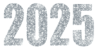 2025 Flat Silver Large PNG Image