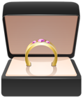 Gold Ring in Box PNG Clip Art Image