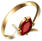 Gold Ring with Ruby PNG Clipart
