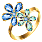 Silver Ring with Blue Floral Diamonds PNG Clipart