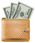 Transparent Wallet with Banknotes PNG Picture