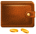 Wallet with Coins PNG Picture