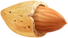 Almond PNG Clipart Image