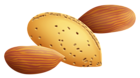 Almonds PNG Clipart Picture
