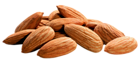 Almonds PNG Image