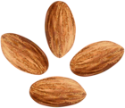 Almonds Transparent Clip Art Image