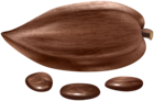 Cacao Fruit PNG Clipart