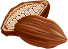 Cocoa PNG Clip Art Image