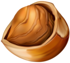 Hazelnut PNG Clip Art Image