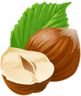 Hazelnuts PNG Clip Art Image