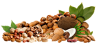 Nuts PNG Clipar Picture