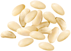 Pine Nuts PNG Clipart Image