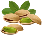 Pistachio Nuts PNG Clipart Image