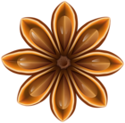 Star Anise PNG Clip Art