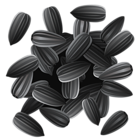 Sunflower Seeds PNG Clipart Image