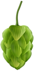 Green Hop Plant Transparent PNG Clipart