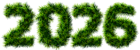2026 Pine Transparent Clipart Picture