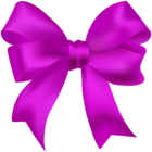Beautiful Bow PNG Clipart